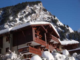 Appartement lumineux avec terrasse, proche pistes et centre, idéal pour familles et PMR - FR-1-464-85 - Pralognan-la-Vanoise - 1