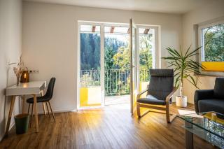 Haus RAuszeit - Wildemann - 3