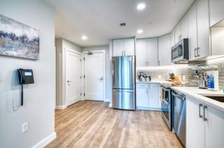 Luxury Apt Near Downtown - 9