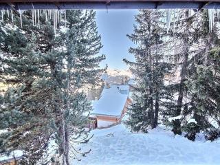 Chalet spacieux 15 pers avec sauna et jacuzzi, proche pistes - Plagne 1800 - FR-1-455-159 - La Plagne - 3