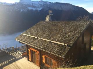 Chalet 3 chambres 8 pers avec cheminée et parking à 1000m des pistes - FR-1-572-49 - Les Carroz d'Araches - 9