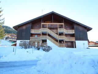 Duplex lumineux 3 pièces, 7 pers, 3 balcons, proche pistes et commerces, parking, ski bus - FR-1-572-72 - Arâches-la-Frasse - 9