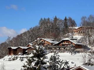 Studio cosy pour 4 pers. à 320m des pistes et proche centre - Arâches-la-Frasse - FR-1-572-102 - Les Carroz d'Araches - 5