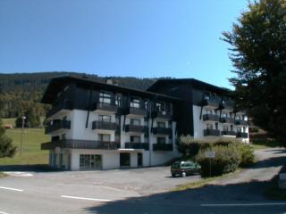 Studio spacieux 4 pers, lit double, pistes, parking - FR-1-572-146 - Arâches-la-Frasse - 1