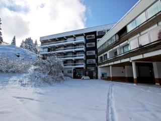 Studio cabine 27m², sud, pied des pistes, balcon, piscine été, animaux OK - FR-1-549-48 - Chamrousse - 7