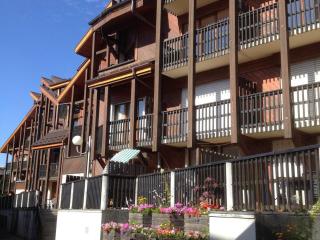 Studio chaleureux 4 pers, centre village, proche pistes et commerces, balcon sud-ouest - FR-1-572-105 - Les Carroz d'Araches - 8