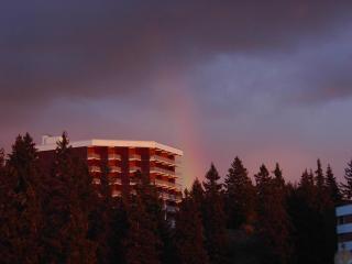Studio 4 pers avec balcon, Chamrousse - FR-1-549-64 - 7
