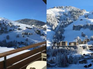 Charmant 2 pièces ski au pied avec balcon et garage à La Clusaz, proche des pistes et du ski-bus - FR-1-459-169 - La Clusaz - 9