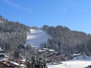 Appartement ski aux pieds, 3 pièces, 6 pers, terrasse sud, près des Carroz - FR-1-572-248 - Les Carroz d'Araches - 8