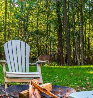 Retro Retreat Charming Home with Hot Tub & Fire Pit - Hensonville - 2