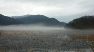 Miiseum Stay - 7