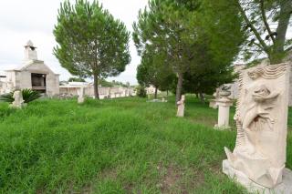 Anghelos - Lizzanello - 2