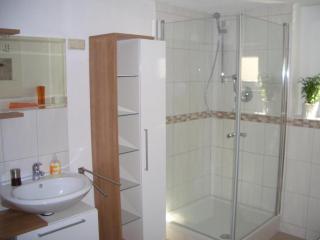 Wohnung mit Terasse im Schwarzwald - Seebach - 1