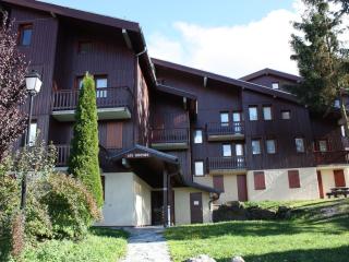 Studio à Montchavin, proche centre et pistes, vue vallée, TV, balcon - FR-1-181-2529 - La Plagne Tarentaise - 4