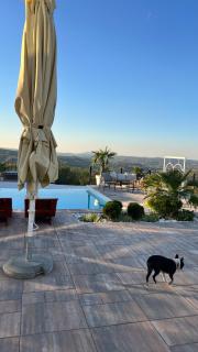 Hill Luxury House - - 5