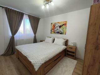 Apartament Theodora - Curtea de Argeş - 2