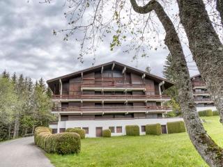 Studio rénové avec terrasse à Megève - Proche pistes et golf, parking et wifi inclus - FR-1-453-299 - 4