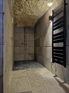 Troglodyte Loft - Saint-Étienne-de-Chigny - 2