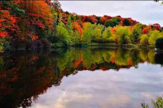 Moon River - Campbellford - 1