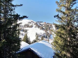 Chalet spacieux 15 pers avec sauna et jacuzzi, proche pistes - Plagne 1800 - FR-1-455-159 - La Plagne - 1