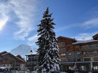 Appartement 3P cosy, cheminée, WIFI, garage, proche pistes et commerces - FR-1-572-240 - Les Carroz d'Araches - 6