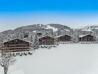 Appartement 3 pièces avec balcon, cheminée et parking – À 400m des pistes et du golf, Megève Mont d'Arbois - FR-1-453-254 - Megève - 2