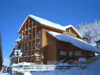 Studio chaleureux 4 pers, centre village, proche pistes et commerces, balcon sud-ouest - FR-1-572-105 - Les Carroz d'Araches - 7