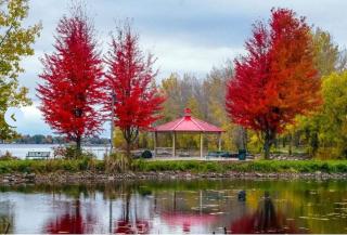 River Runs Through It - Belleville - 3