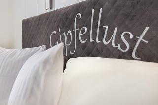 Pension Vorberghof- Bauernhofurlaub - Ramsau am Dachstein - 6