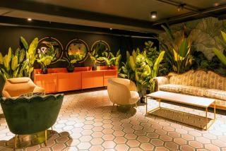Studio2914 - San José - 7