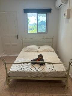 Ti Mango - Sainte-Rose - 1