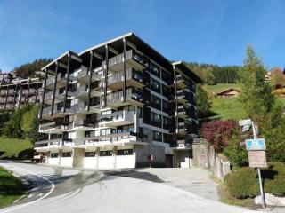 Appartement au centre de La Clusaz avec balcon, ascenseur et casier à skis - FR-1-459-197 - La Clusaz - 8