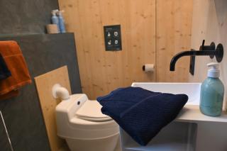 Tiny House Pioneer 1 - Green Tiny Spot Friesland - Schortens - 1