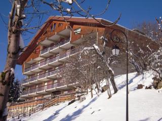 Studio lumineux avec balcon - 4 pers, BBQ électrique, parking couvert, animaux admis - FR-1-198-115 - Châtel - 8