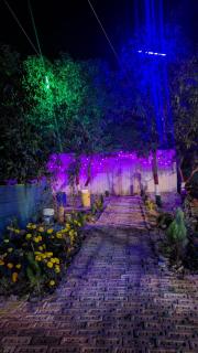 Sundarban Tulip Homestay, Pakhiralay, WB - Purbbadulki - 5