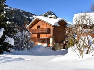Charmant appart 3 pièces dernier étage, balcon sud, parking, près pistes à Pralognan - FR-1-464-106 - Pralognan-la-Vanoise - 1