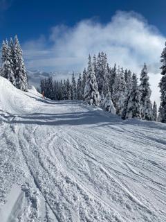 house & living junbi - 8