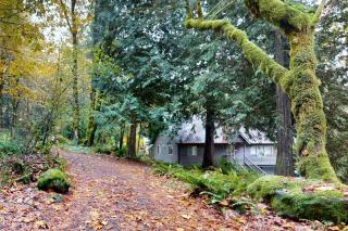 Cedar Grove Chalet - Welches - 2