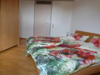 Schöne Dachzimmerwohnung - Görwihl - 6