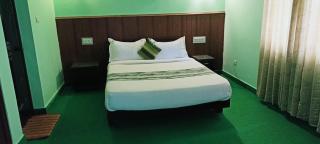 Ayur Mount Resort and Spa - Devikolam - 8