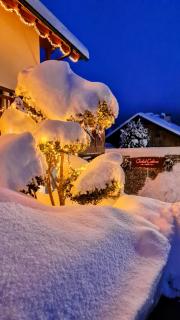 Chalet Catina - Kärnten Card im Sommer inklusive - - Bad Kleinkirchheim - 0