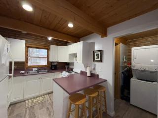 Talkeetna Log Cabin with Hot Tub Unit 2 - Talkeetna - 1