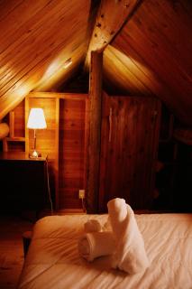 Rustic Woodland Cabin at Beaverfoot - 5