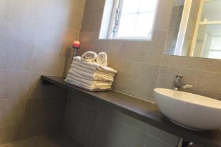 De Essenburgh 7-persoons, overdekte hottub en lounge, barrel sauna, sunshower, wifi, omheinde tuin, huisdier vriendelijk - Lievelde - 5