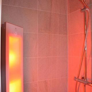 De Essenburgh 7-persoons, overdekte hottub en lounge, barrel sauna, sunshower, wifi, omheinde tuin, huisdier vriendelijk - Lievelde - 6