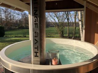 De Essenburgh 7-persoons, overdekte hottub en lounge, barrel sauna, sunshower, wifi, omheinde tuin, huisdier vriendelijk - Lievelde - 9