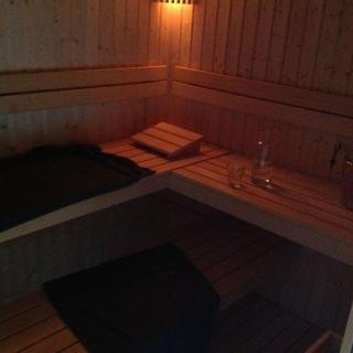 De Goudvink 7-persoons, overdekte hottub en loungebank, finse sauna, wifi, sunshower - Lievelde - 1