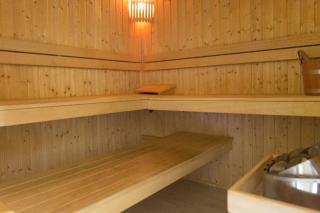 De Goudvink 7-persoons, overdekte hottub en loungebank, finse sauna, wifi, sunshower - Lievelde - 2