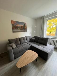 Moderne Studio-Apartments in Wolfen - 2