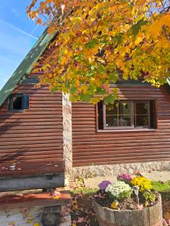 Holiday Home Vile Calimero - Žabljak - 6